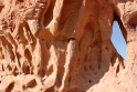 Desert scene, Wadi Rum Jordan 18